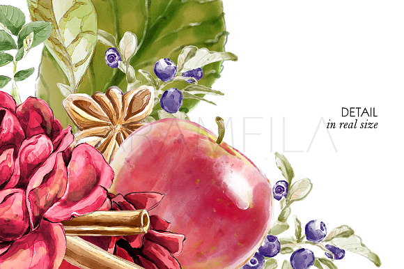 Cinnamon & Apples Clipart in Illustrations - product preview 3