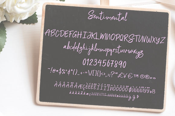 Sentimental | Script Font in Script Fonts - product preview 5