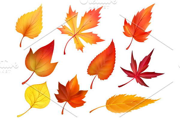 Autumn foliage of fall falling leaves vector icons