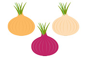Onion ripe bulb set