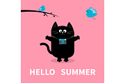 Hello summer. Cat, birds, camera