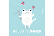 Hello summer. Cat, butterfly, net