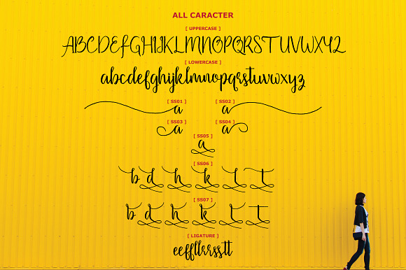 Firdaus Script in Script Fonts - product preview 14