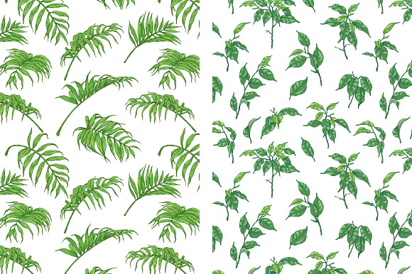 Green  Tropical Patterns in Patterns - product preview 2