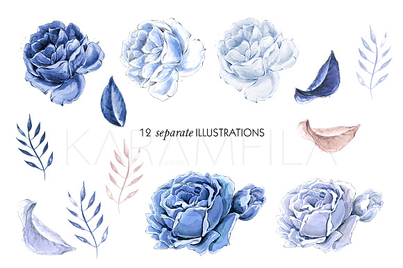 Blue Roses Clipart in Illustrations - product preview 2