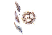 Watercolor quail feather nest egg