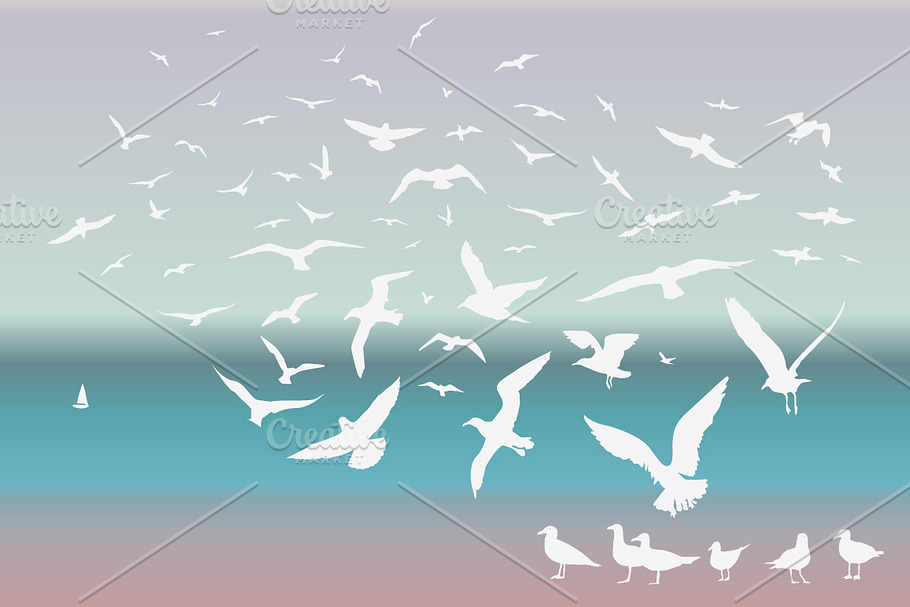 Sea birds in Illustrations - product preview 8