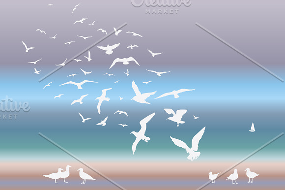 Sea birds in Illustrations - product preview 1