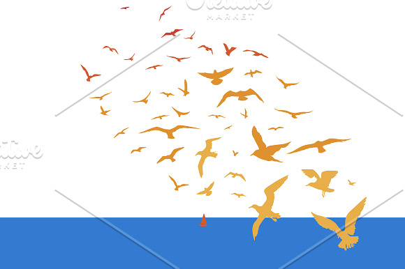 Sea birds in Illustrations - product preview 2