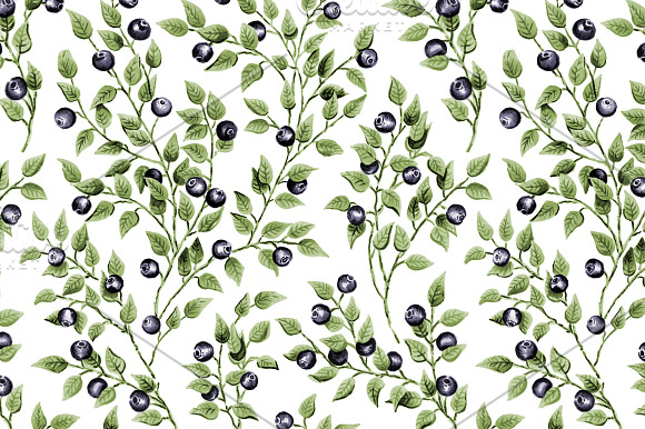Floral and Blueberry Patterns in Patterns - product preview 1