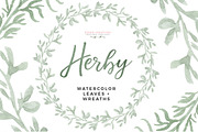 Watercolor Herbs Graphics Clipart