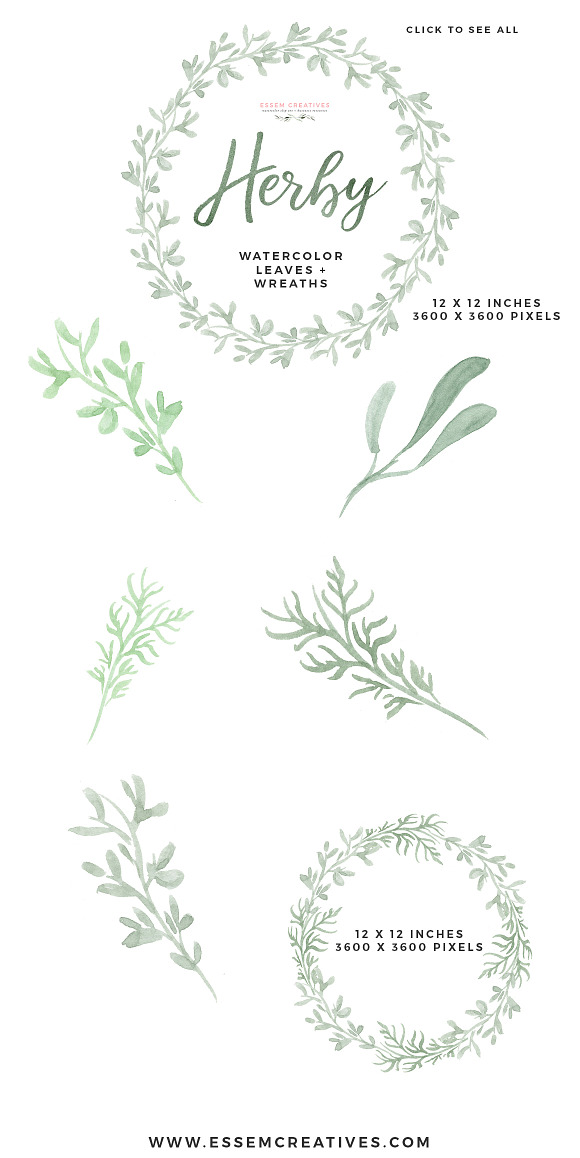 Watercolor Herbs Graphics Clipart in Illustrations - product preview 1