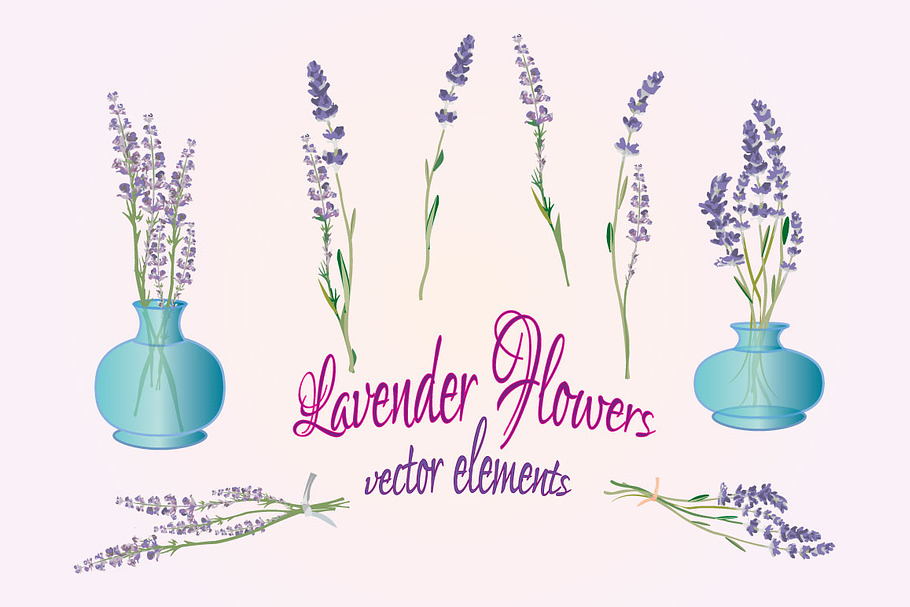 Lavender Flowers Vector Elements in Illustrations - product preview 8