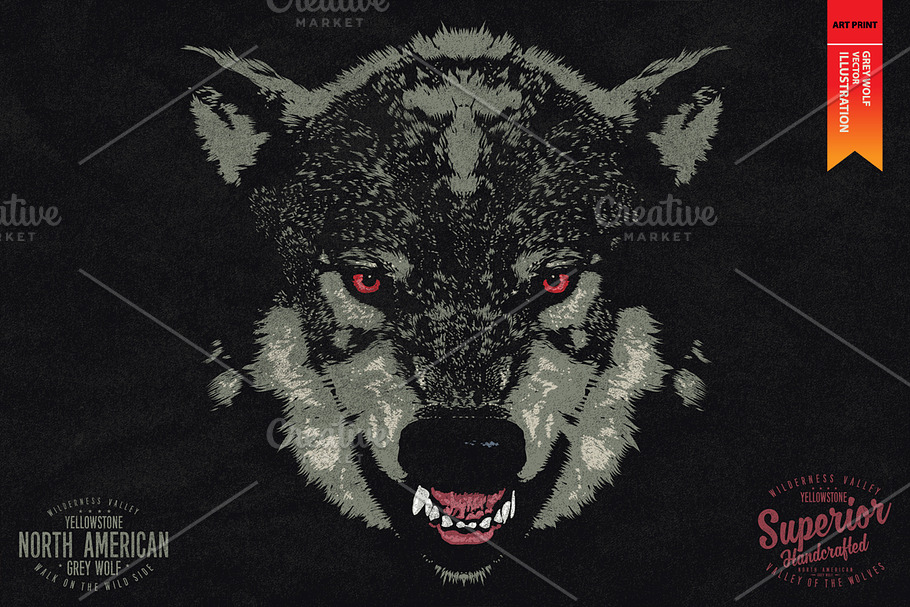 Grey Wolf - Vector illustration