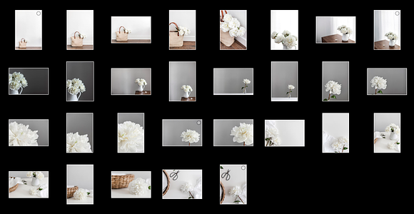 White Peonies Stock Photo Bundle in Product Mockups - product preview 1