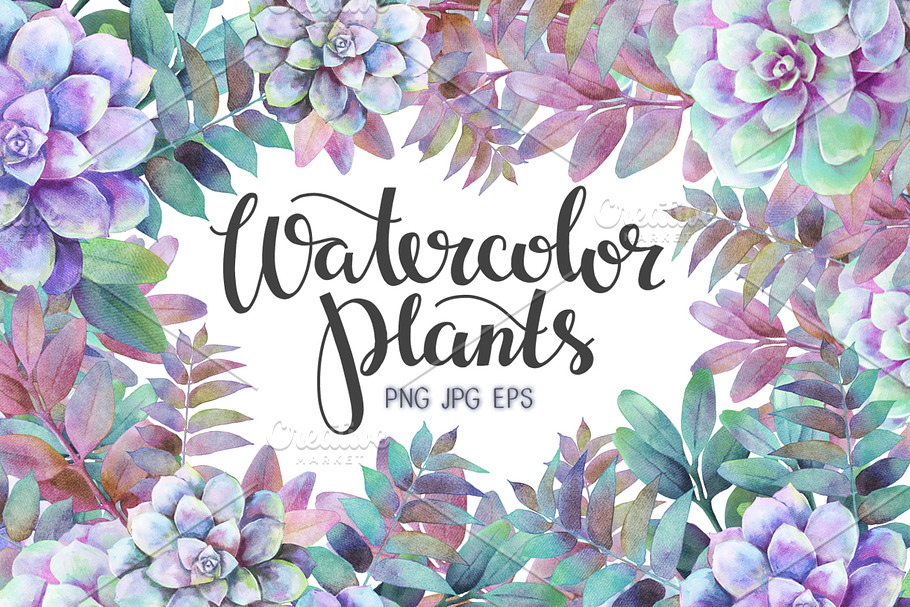 Watercolor plants