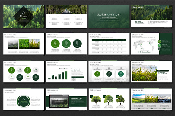 Forest Template in PowerPoint Templates - product preview 1