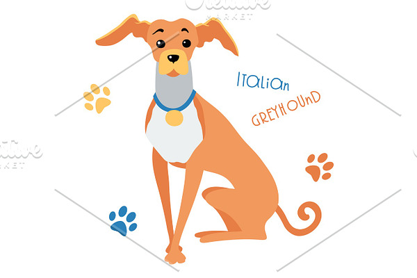Vector sketch funny Italian Greyhound dog sitting