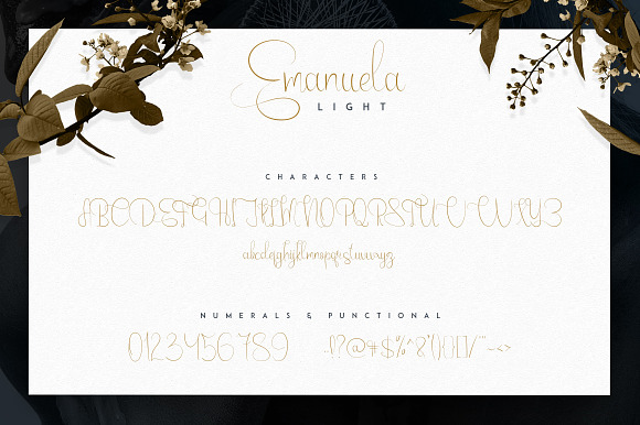 Emanuela Typeface and Designs -33% in Script Fonts - product preview 3