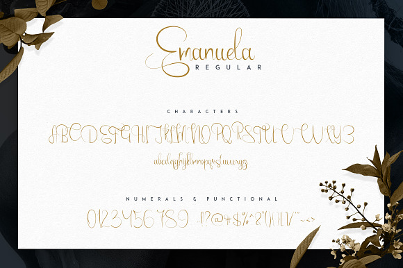 Emanuela Typeface and Designs -33% in Script Fonts - product preview 4