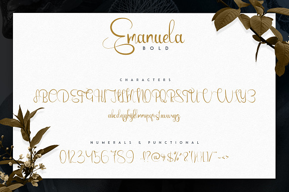 Emanuela Typeface and Designs -33% in Script Fonts - product preview 5