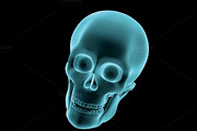 human skull halloween