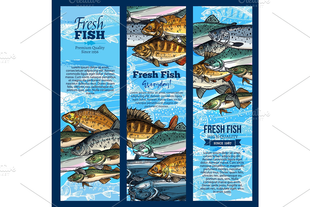 Vector banners of fish catch for sea food maket in Illustrations - product preview 8
