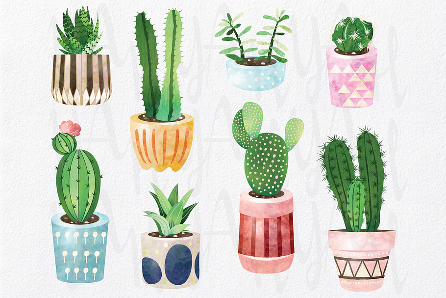 Watercolor Cactus Collections