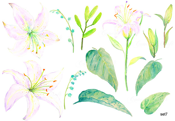 Watercolor White Lily Wedding in Illustrations - product preview 1