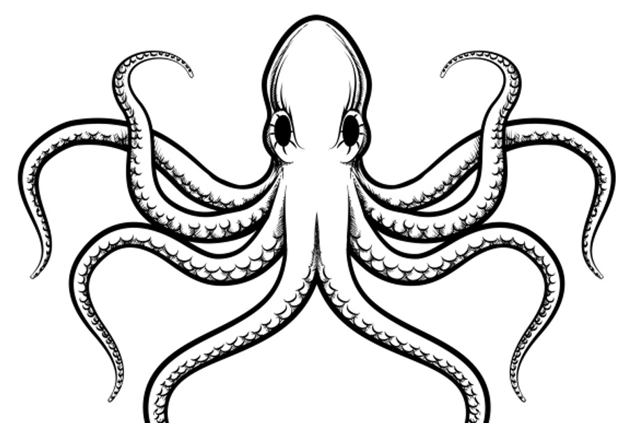 Vector octopus illustration in Illustrations - product preview 8