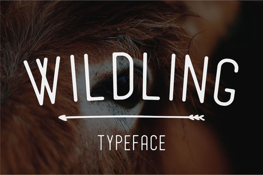 Wildling Typeface in Display Fonts - product preview 8