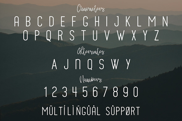 Wildling Typeface in Display Fonts - product preview 1