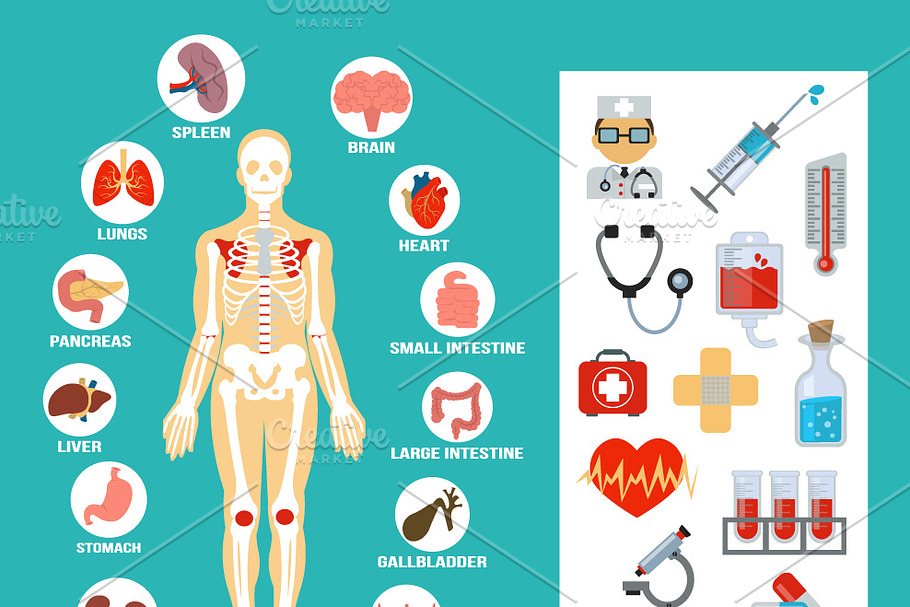 Vector Flat Anatomy Icons Set in Graphics - product preview 8