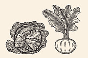 cabbage and beets