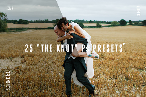 The Knot Photoshop Presets in Photoshop Plugins - product preview 1