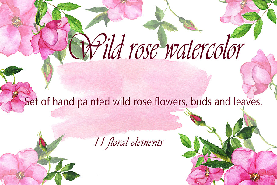 Watercolor wild roses