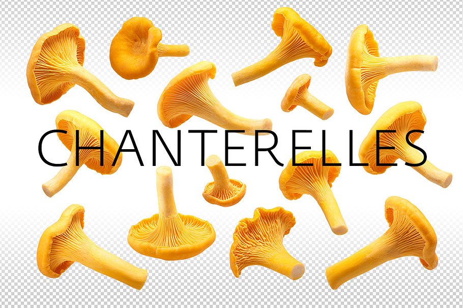Chanterelles in Objects - product preview 8