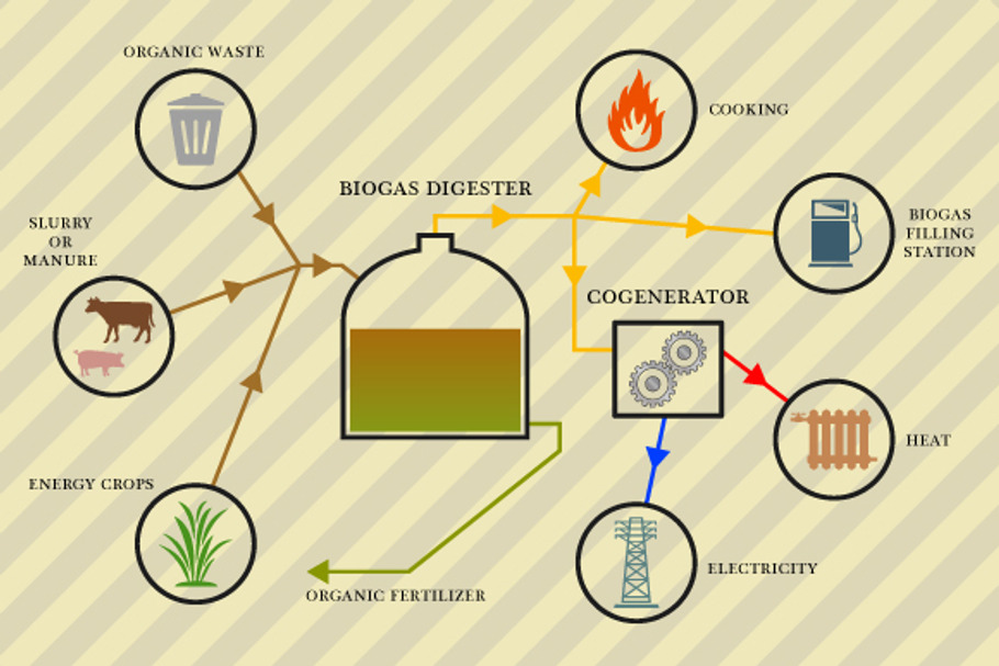 Biogas infographic in Illustrations - product preview 8