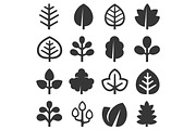 Leaf Icons Set