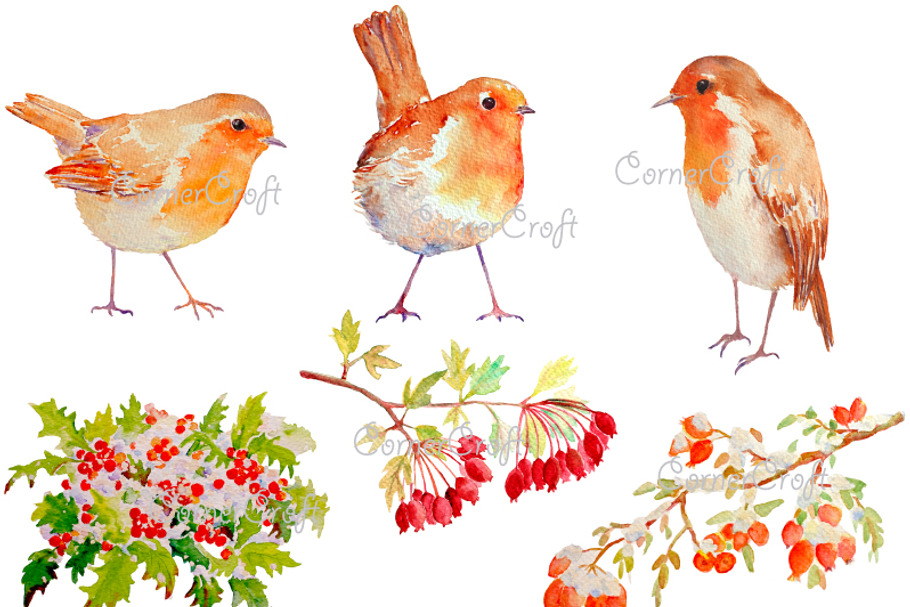 Watercolor Robins and Berries