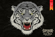 Tigers - Vector illustration