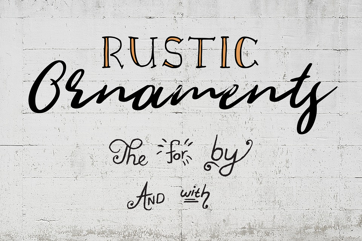Rustic Ornaments - Vectors in Illustrations - product preview 8