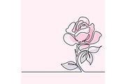 Drawing of beautiful rose flower