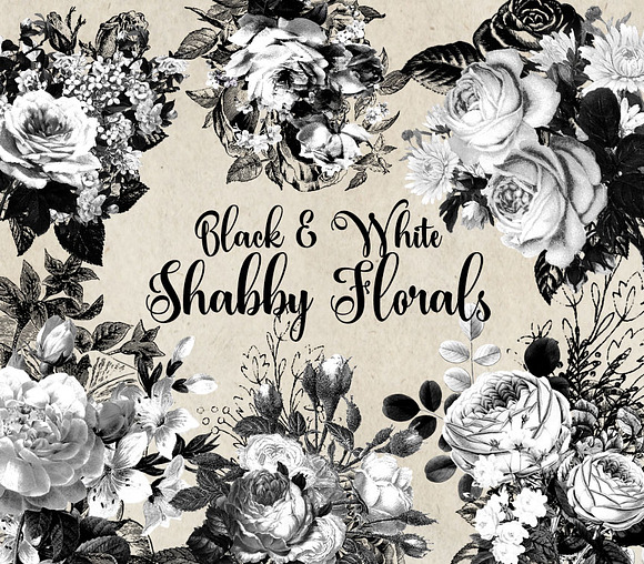 Black and White Shabby Florals in Illustrations - product preview 1
