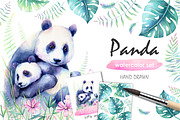 Panda Watercolor set
