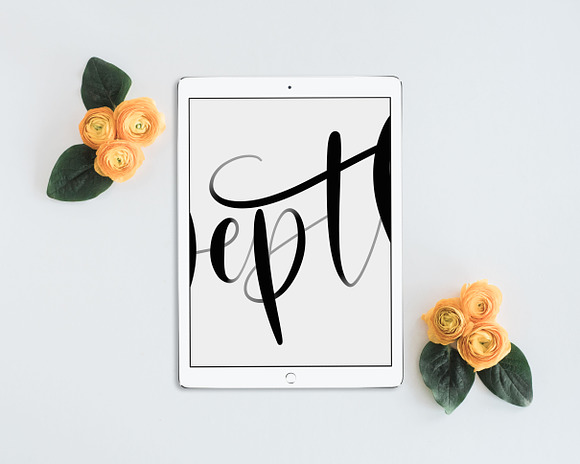 iPad Lettering Brush - Depth in Photoshop Brushes - product preview 3