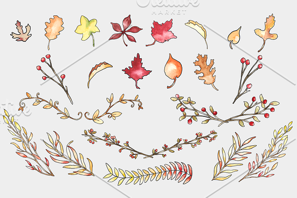 Autumn Vines & Leaves Watercolor in Illustrations - product preview 1
