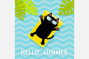 Hello Summer. Cat on water mattress