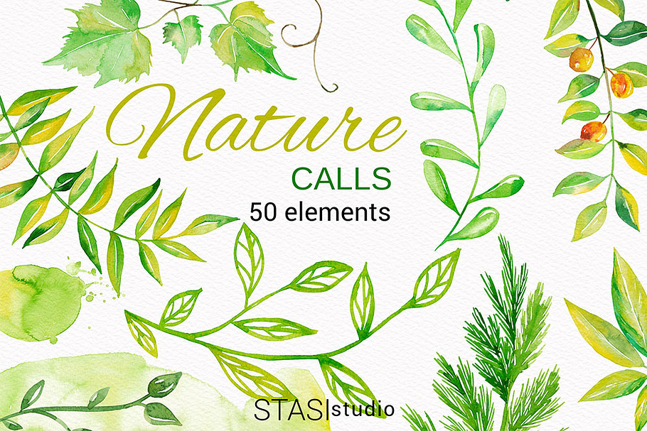 Watercolor Floral Elements in Illustrations - product preview 8