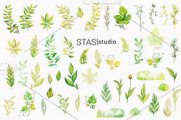 Watercolor Floral Elements in Illustrations - product preview 1